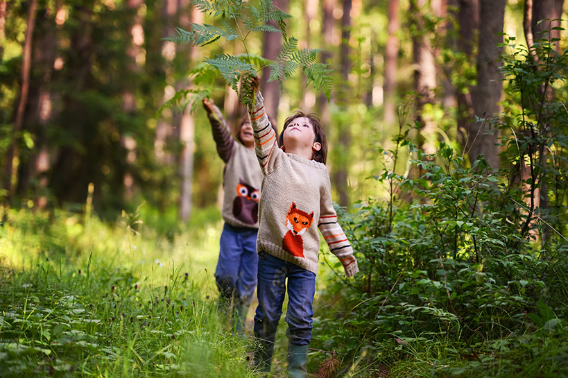 Children Playing in the woods